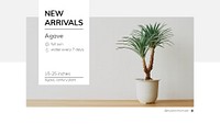 New arrivals template psd with agave tree