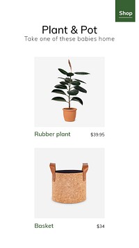 Plant and pot template psd for social media ad