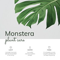 Houseplant template psd Monstera plant care