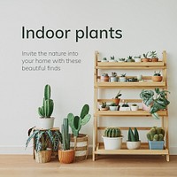 Indoor gardening template psd with small houseplants