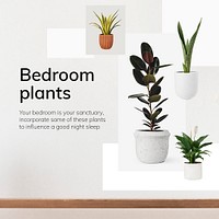 Interior decor template psd bedroom plants