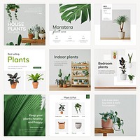 Houseplant psd template set for social media posts