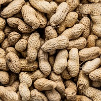 Peanuts flat lay close up food photography