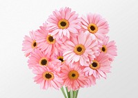 Pink gerbera daisy bouquet clipart