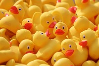 Free rubber ducks image, public domain CC0 photo.