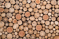 Wood log pattern background, close up design