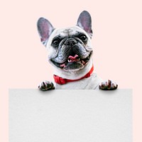 French bulldog sticker, pet design psd