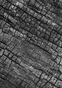 Black wood, charcoal texture background
