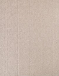 Paper cardboard texture background, simple design