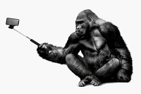 Gorilla holding selfie stick clipart, zoo animal psd