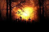 Free forest during sunset in graveyard silhouette image, public domain nature CC0 photo.