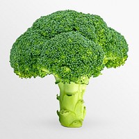 Broccoli clipart, organic vegetable, healthy diet psd