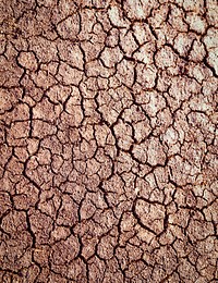 Drought texture background, cracked ground design