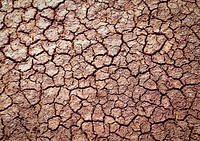 Drought texture background, cracked ground design