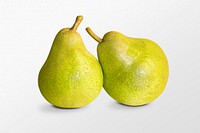 Pear fruit clipart, organic food on white background