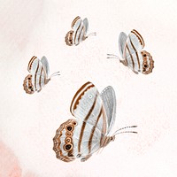 Butterfly aesthetic design element psd, remixed from vintage public domain images