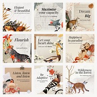 Retro animal collage post template, editable vintage surreal journal planner scrapbook artwork with quote social media psd pack