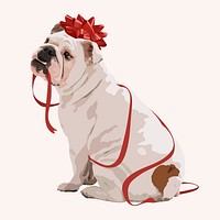 Christmas gift dog, English Bulldog, aesthetic vector illustration