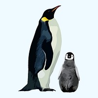 Cute penguins collage element, aesthetic illustration psd