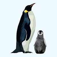 Cute penguins, aesthetic vector illustration