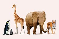 Zoo animal border, aesthetic vector illustration