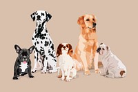 Cute dogs, variety of breeds, aesthetic vector illustration