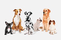 Dogs & puppies collage element, aesthetic illustration psd