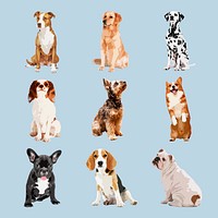 Dog breeds, aesthetic vector illustration set