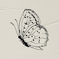 Butterfly line art clip art, hand drawn illustration