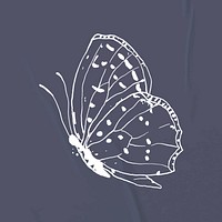 Butterfly sticker, line art illustration vector
