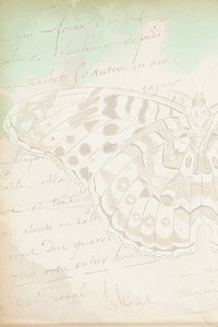 Vintage green digital journal paper note collage background with butterfly illustration 