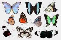Aesthetic butterflies cut out set, animal design psd
