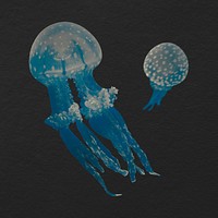 Blue jellyfish cut out, animal design psd