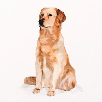 Golden retriever dog illustration psd, adorable pet painting 