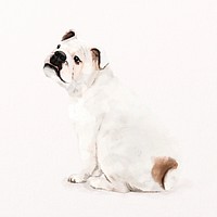 English bulldog illustration psd, adorable pet painting