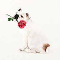 English bulldog illustration with rose in his mouth, cute pet painting