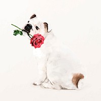 English bulldog illustration vector with rose in his mouth, cute pet painting