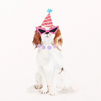 Cavalier King Charles Spaniel dog illustration psd birthday party hat