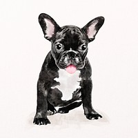 French bulldog illustration psd, cute pet painting