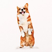 Watercolor corgi dog illustration psd, cute pet painting 