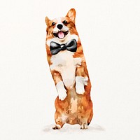 Watercolor corgi dog illustration with gloves and bow tie