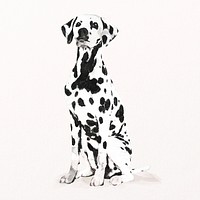 Watercolor Dalmatian dog illustration psd, cute pet painting 
