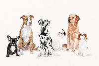 Cute watercolor dog illustration psd set with different breeds, cute pet painting 