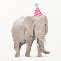  Watercolor elephant illustration with birthday party hat