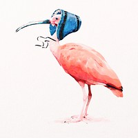 Scarlet ibis bird illustration psd with blue bonnet