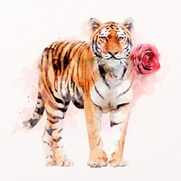 Watercolor tiger illustration psd