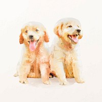 Golden retriever puppies illustration vector, animal drawing