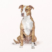 Pitbull terrier dog illustration psd, cute pet portrait