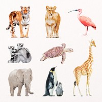 Wildlife animal illustration psd collection, animal painting