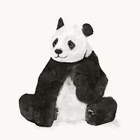 Panda watercolor illustration, animal design vector